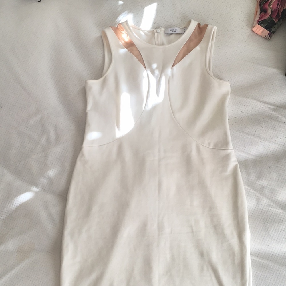 White Fitted Dress with Mesh Accents